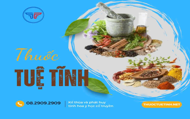 công ty dược phẩm tuệ tĩnh