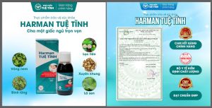 FTT_Harman_Tue_Tinh